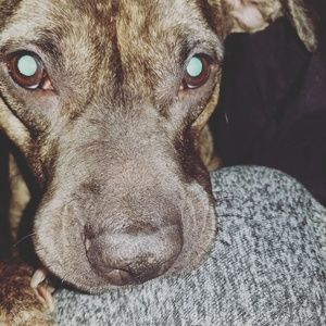 Meet your Posher, Joshua